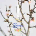 Uova per albero di Pasqua in plexiglass trasparente da 3 mm, personalizzate con il logo della tua azienda – un’idea regalo aziendale unica - immagine 5